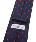 TIE PAISLEY