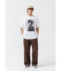 261MV / SS / COTTON