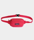 Terravia Mini Hip Pack