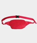 Terravia Mini Hip Pack