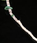 NAVAJO TURQUOISE SPINEY OYSTER NECKLACE