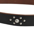 HTC / SD Belt #Western B Umbrella