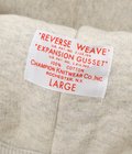 REVERSE WEAVE PULL OVER AFTER HOODED