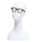 AR 46-22 - TORTOISE -