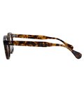 AR 48-22 - TORTOISE -