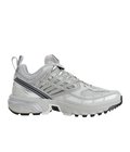ACS PRO Metal/Ghost Gray/Silver Metallic X