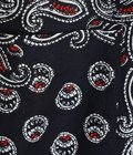 Paisley Summer Shirt