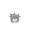 “COMPASS“ Ring