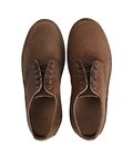 WEEKENDER OXFORD No.3606