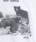 【レディース】BEAR LONG TEE