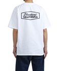 SD Heavyweight Stadium Logo T