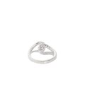 Double Loop Ring