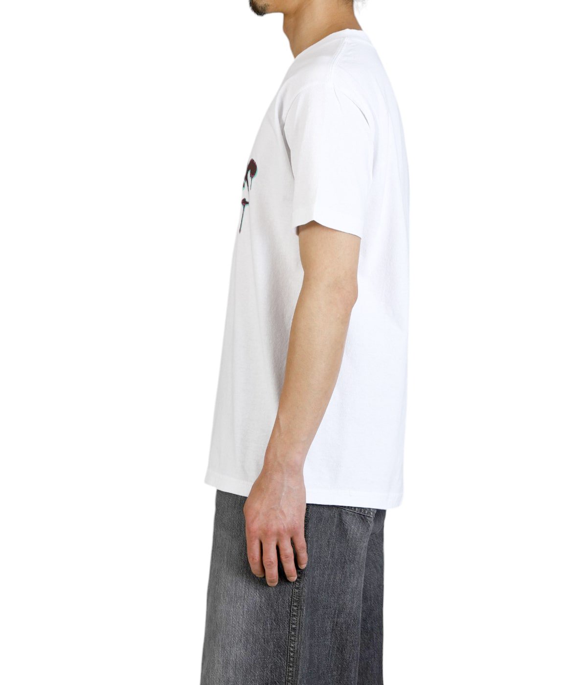 T-SHIRT FLUKE | MASSES(マシス) / トップス カットソー半袖・T