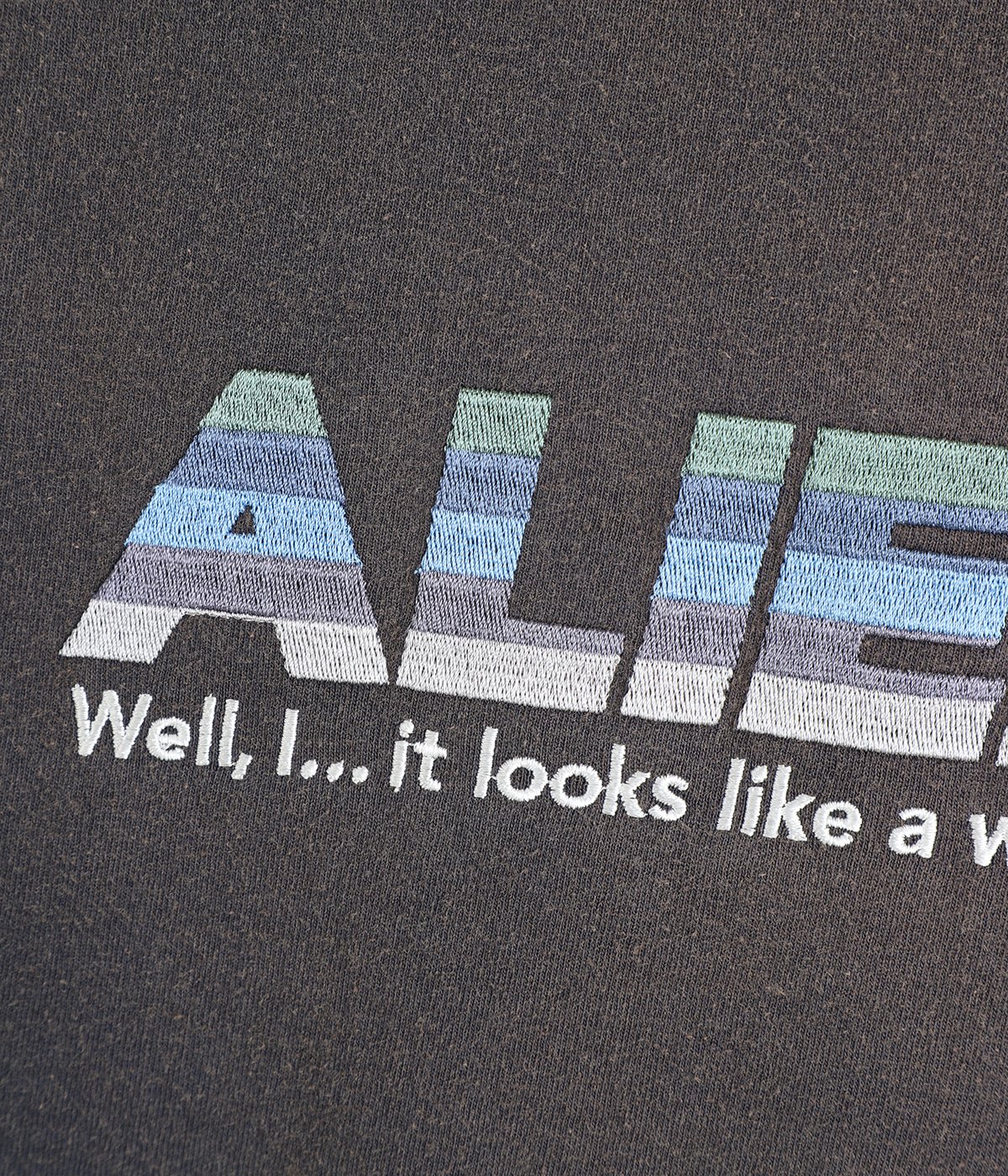 Alien“ Vintage Wash H-S Tee | DAIRIKU(ダイリク) / トップス
