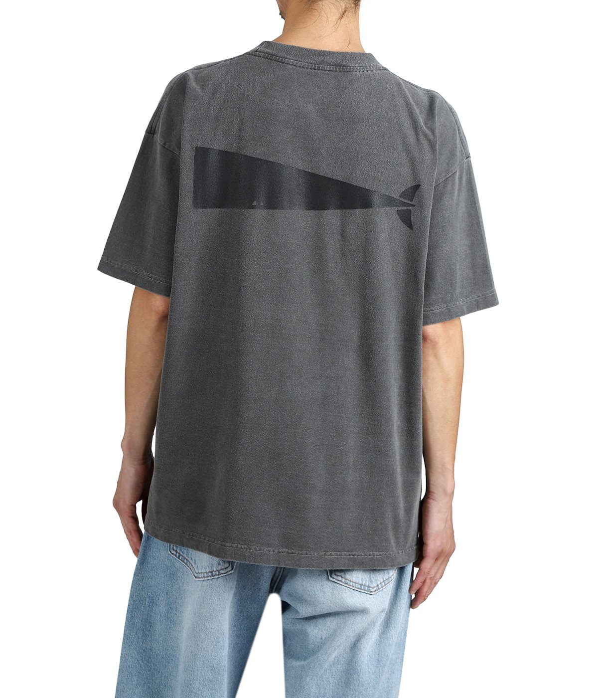 CACHALOT ORGANIC COTTON SS PIGMENT DYE | DESCENDANT(ディセンダント