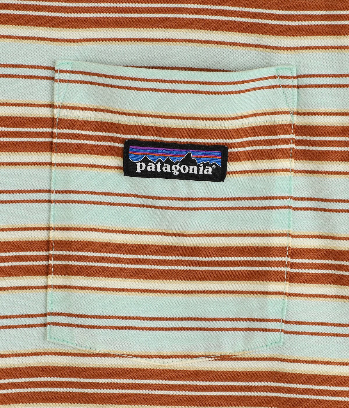 M's Daily Pocket Tee | patagonia(パタゴニア) / トップス カットソー