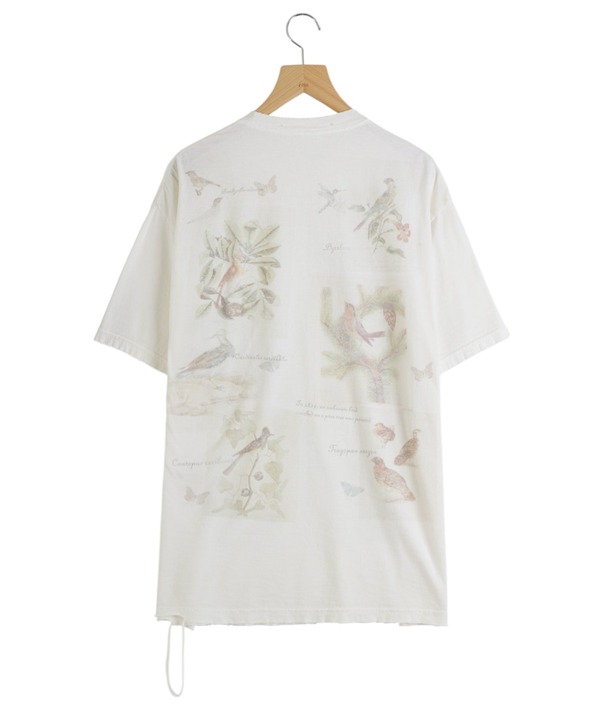 BIRD ENCYCLOPEDIA T-SHIRT | ANCELLM(アンセルム) / トップス