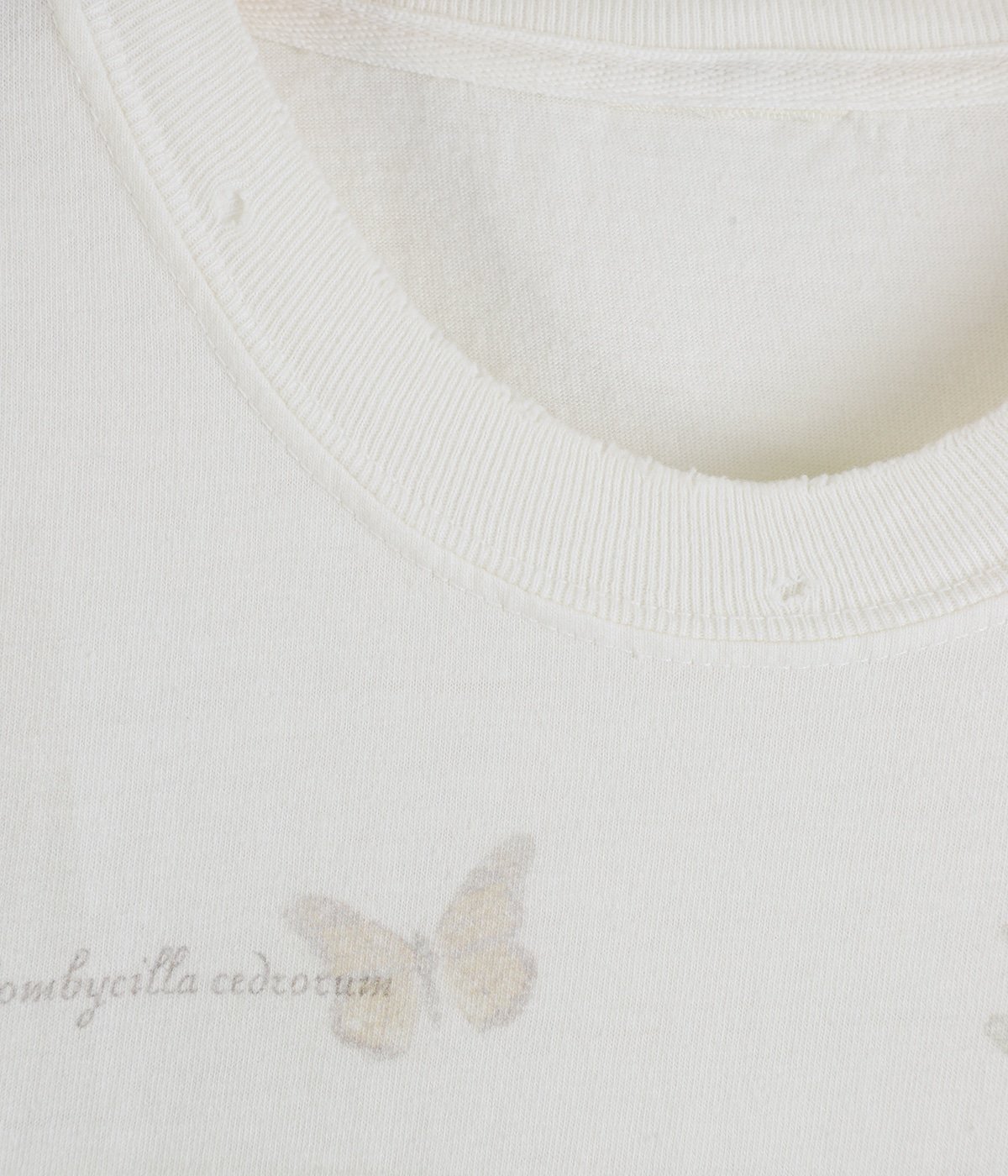 BIRD ENCYCLOPEDIA T-SHIRT | ANCELLM(アンセルム) / トップス