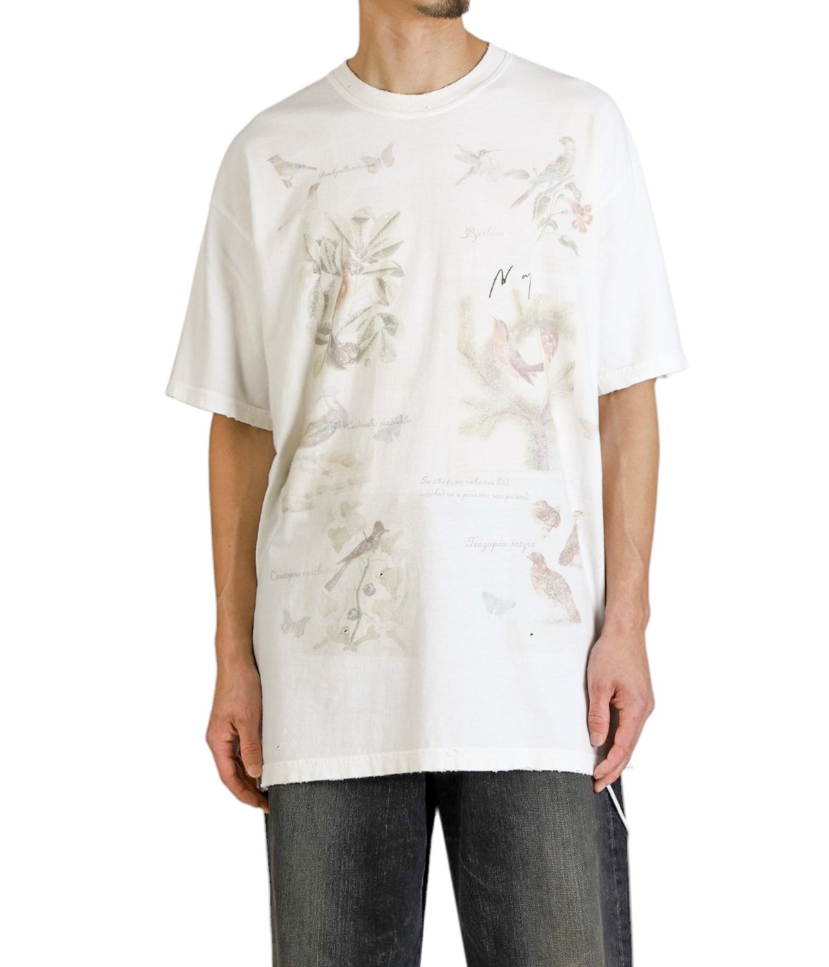 BIRD ENCYCLOPEDIA T-SHIRT | ANCELLM(アンセルム) / トップス