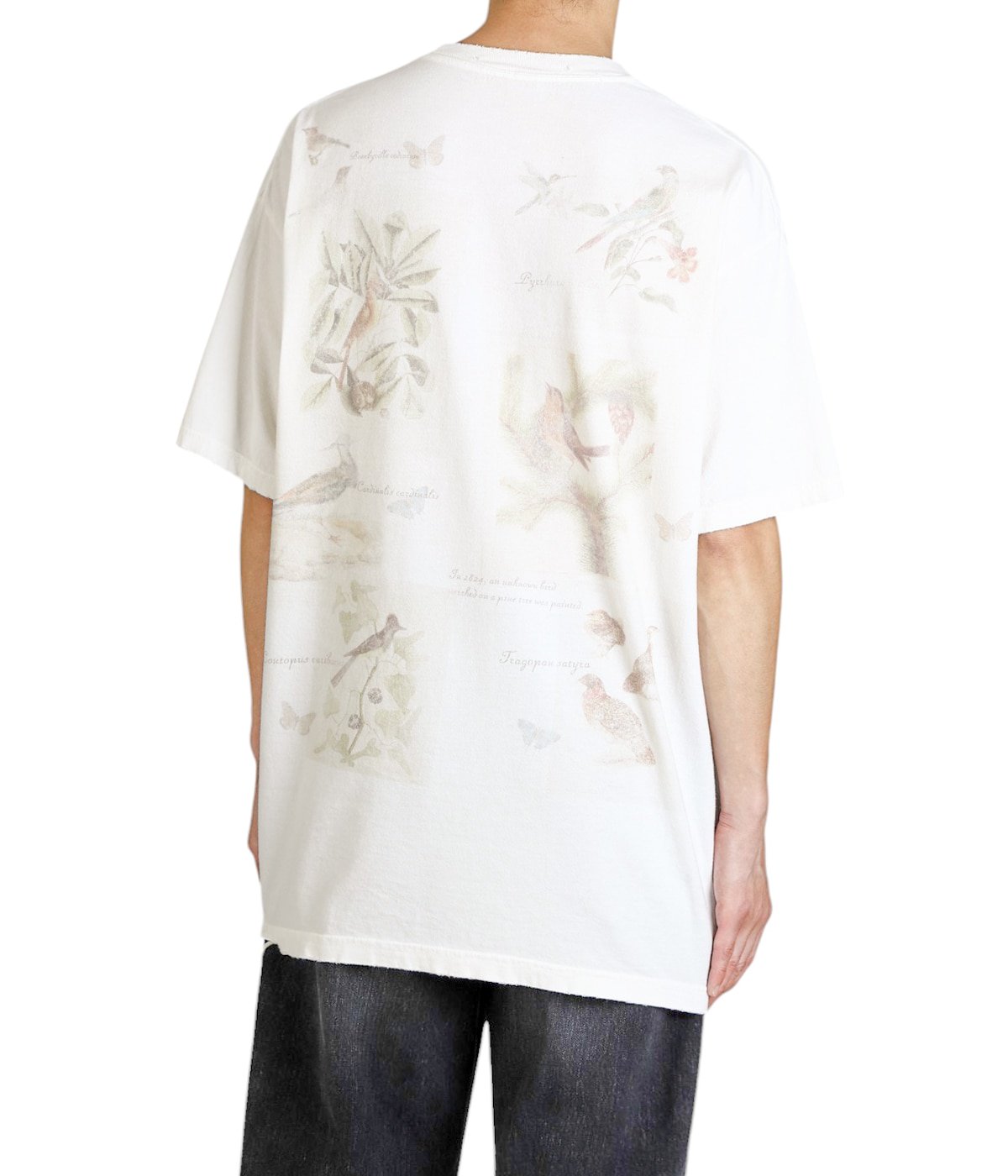 model（175cm / 60kg）B85 W75 H92 着用サイズ：2