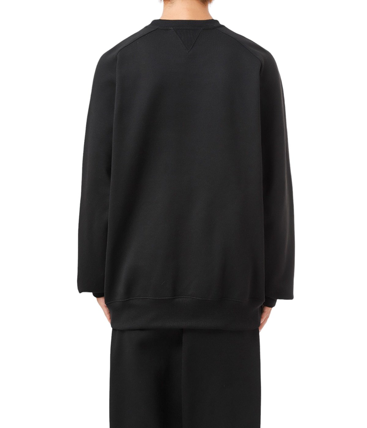 TECH SWEAT CREW FREEDOM SLEEVE - DAIWA PIER39 (ダイワピア39
