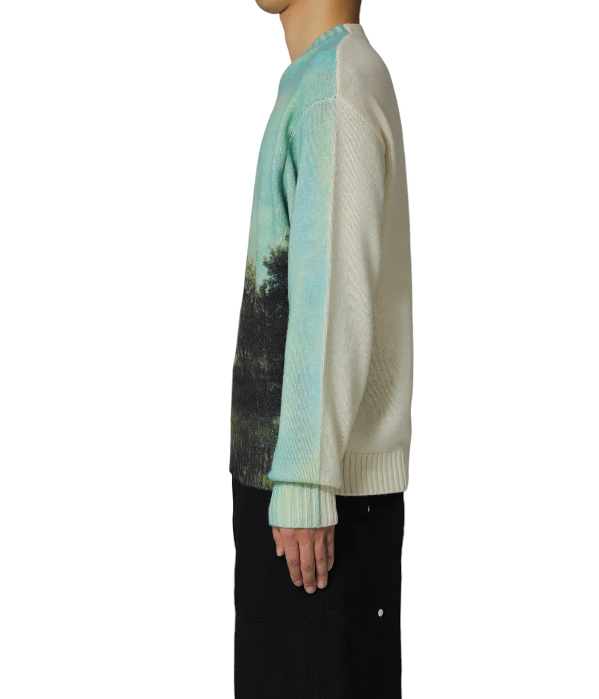 Apple Printed Knit Sweater | BOTT(ボット) / トップス ニット・セーター (メンズ)の通販 -  ARKnets(アークネッツ) 公式通販 【正規取扱店】