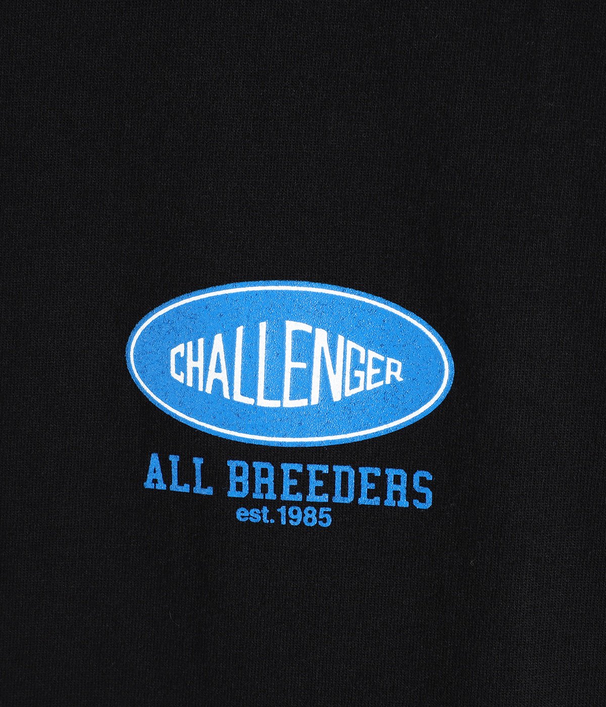 ROSE BANDANA TEE | CHALLENGER(チャレンジャー) / トップス