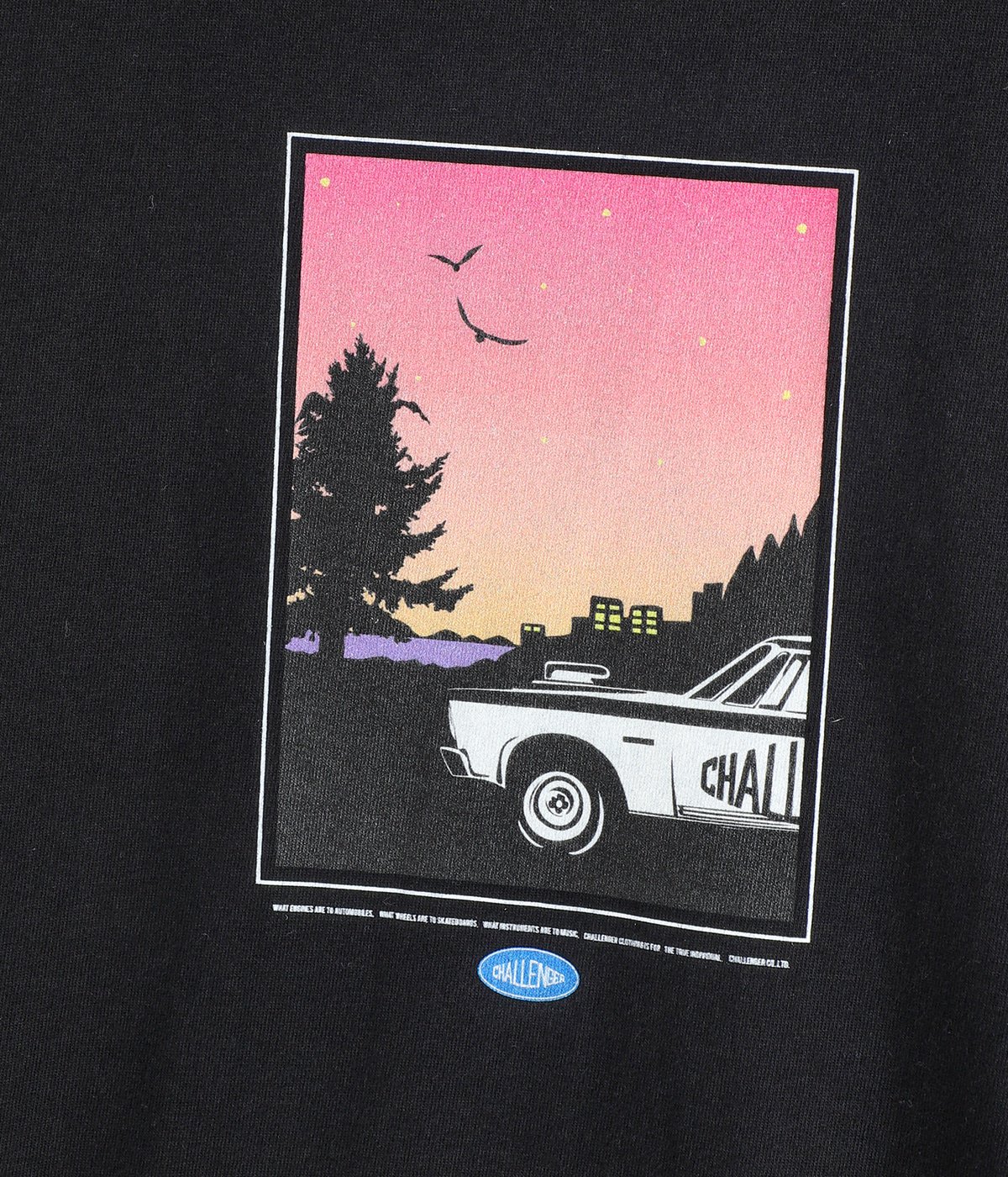 CRUISING TEE | CHALLENGER(チャレンジャー) / トップス カットソー 