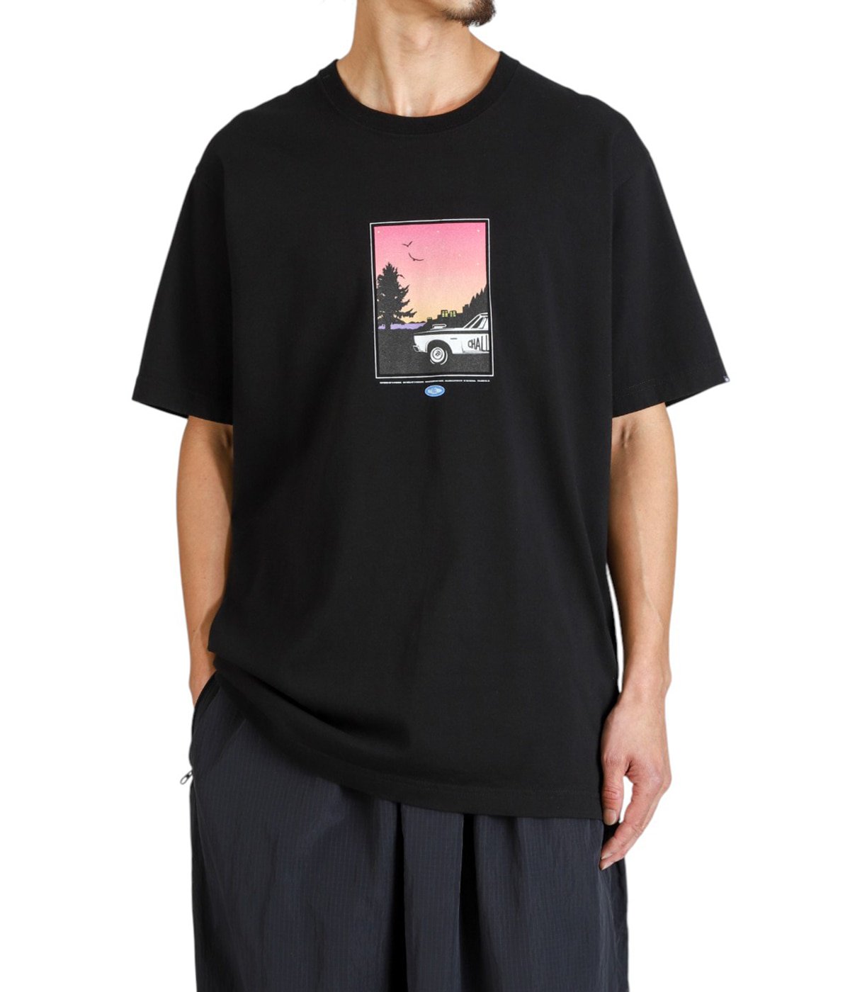 CRUISING TEE | CHALLENGER(チャレンジャー) / トップス カットソー
