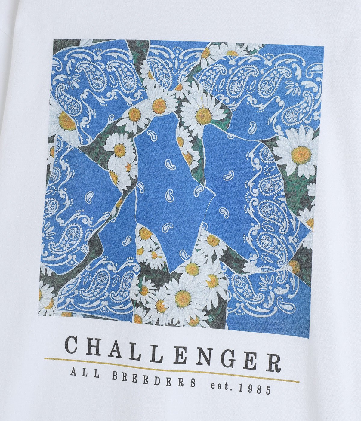 DAISY TEE | CHALLENGER(チャレンジャー) / トップス カットソー半袖