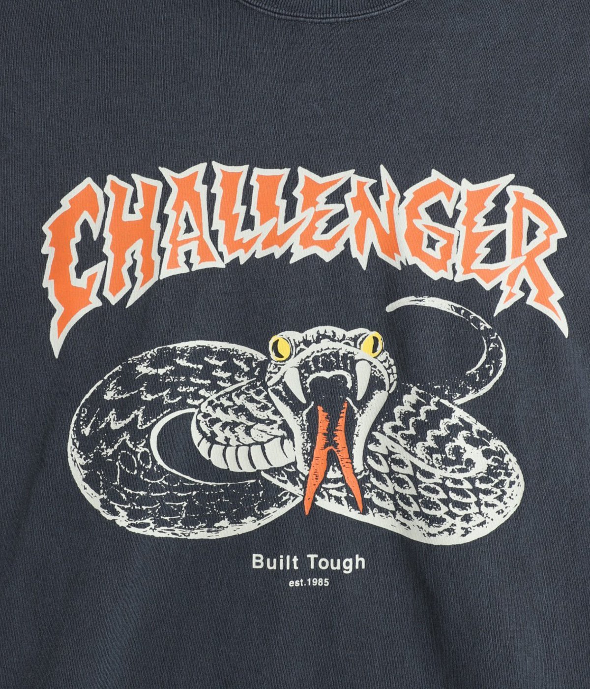 L/S PIGMENT SNAKE TEE | CHALLENGER(チャレンジャー) / トップス