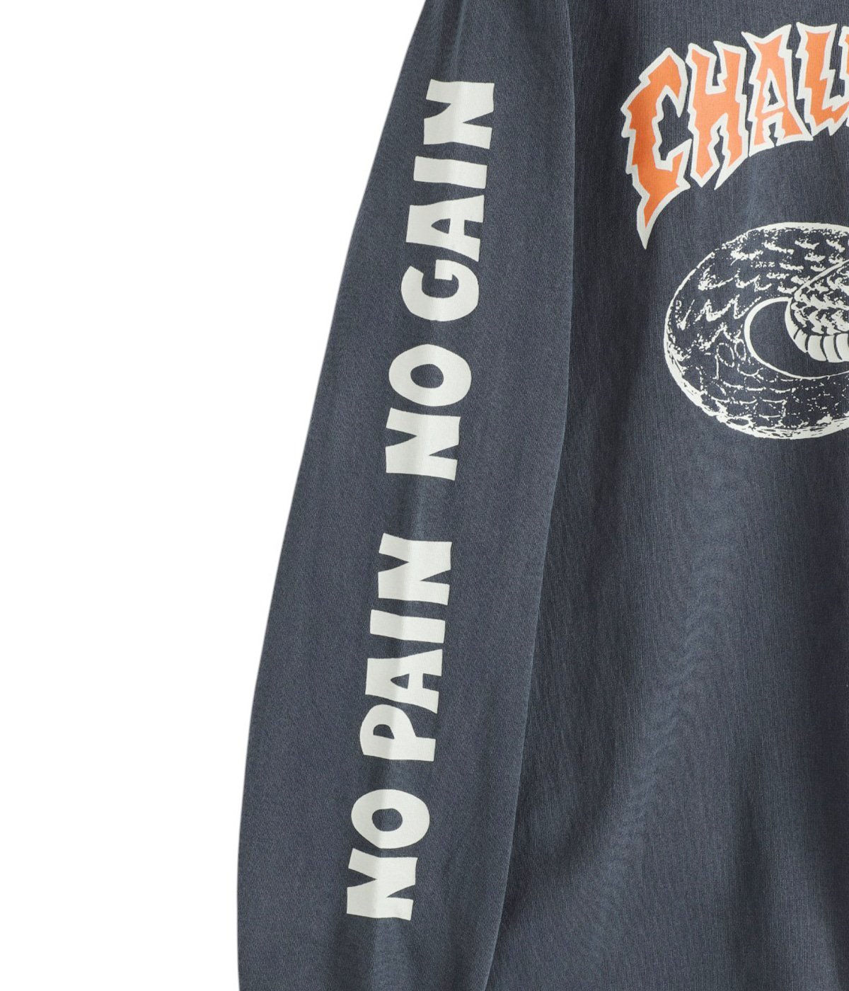 L/S PIGMENT SNAKE TEE | CHALLENGER(チャレンジャー) / トップス