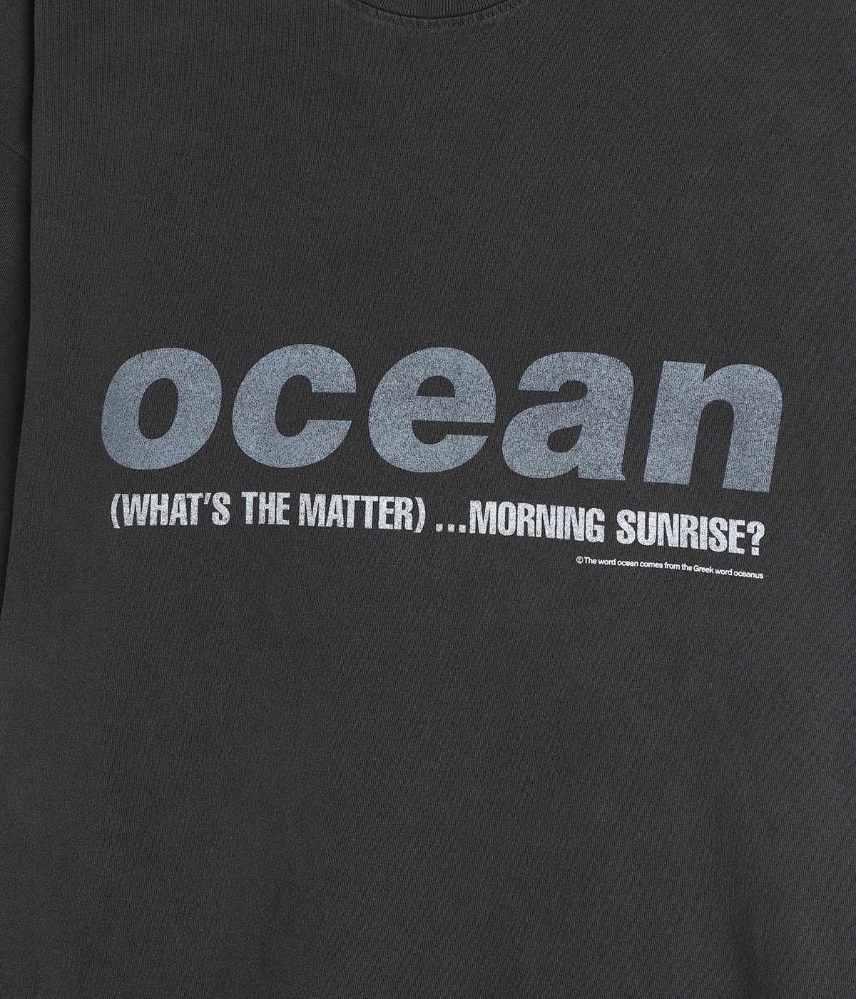 OVERSIZED GARMENT DYE T-SHIRT | ESSAY(エッセイ) / トップス 