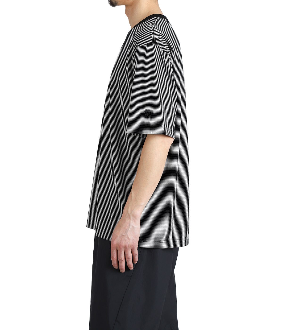 Striped Wool×Lyocell Jersey T-shirt | Goldwin(ゴールドウイン