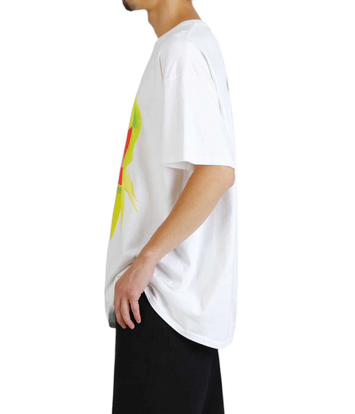 Kermit Tee | JACKSON MATISSE(ジャクソンマティス) / トップス