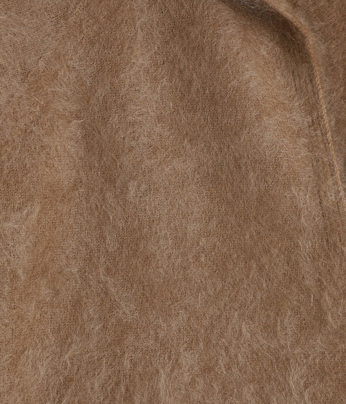 KRAGLW0305-camel-03.jpg