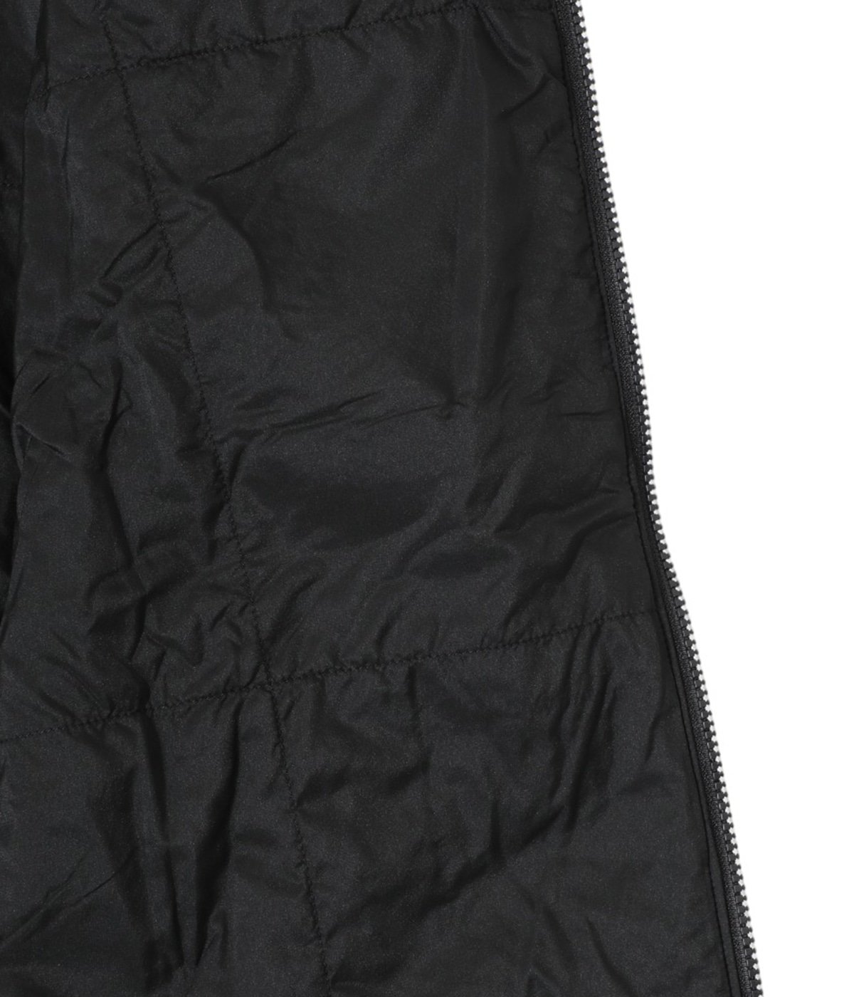 Atom SL Vest Men's | ARC'TERYX(アークテリクス) / トップス ベスト