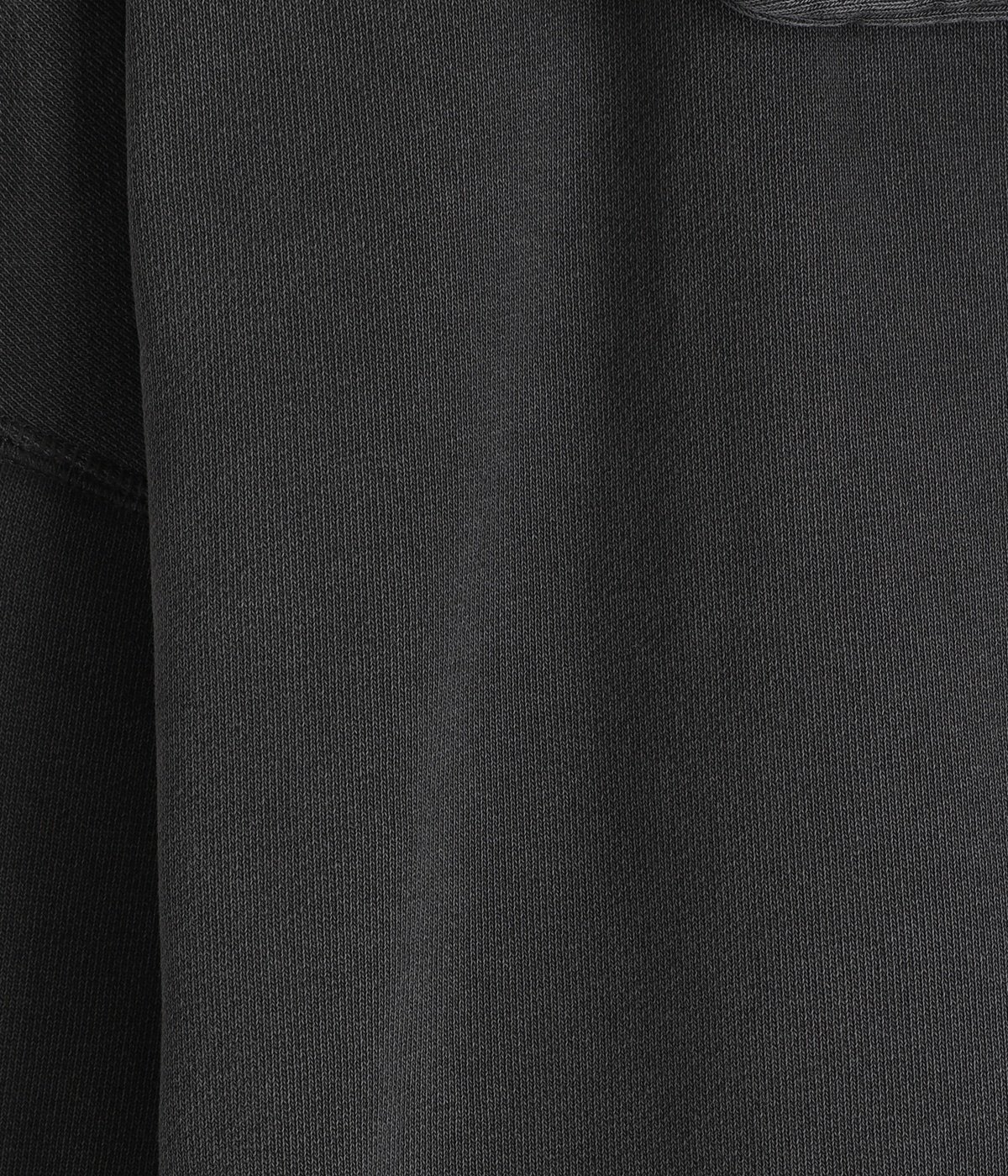 11oz Half Zip Sweatshirt | THE NORTH FACE PURPLE LABEL(ザ