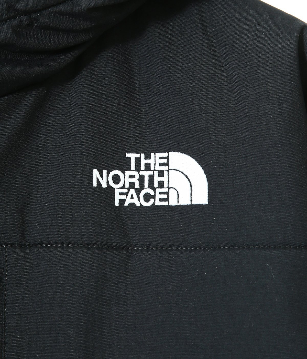 Denali Hoodie | THE NORTH FACE(ザ ノースフェイス) / アウター ...
