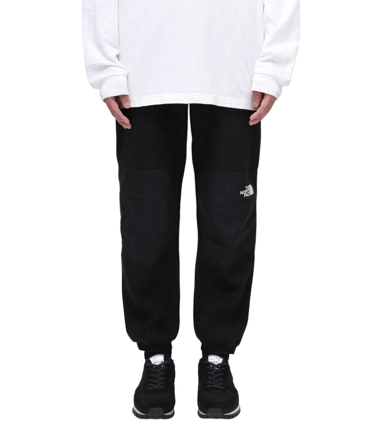 Lサイズ THE NORTH FACE DENALI FLEECE PANTS