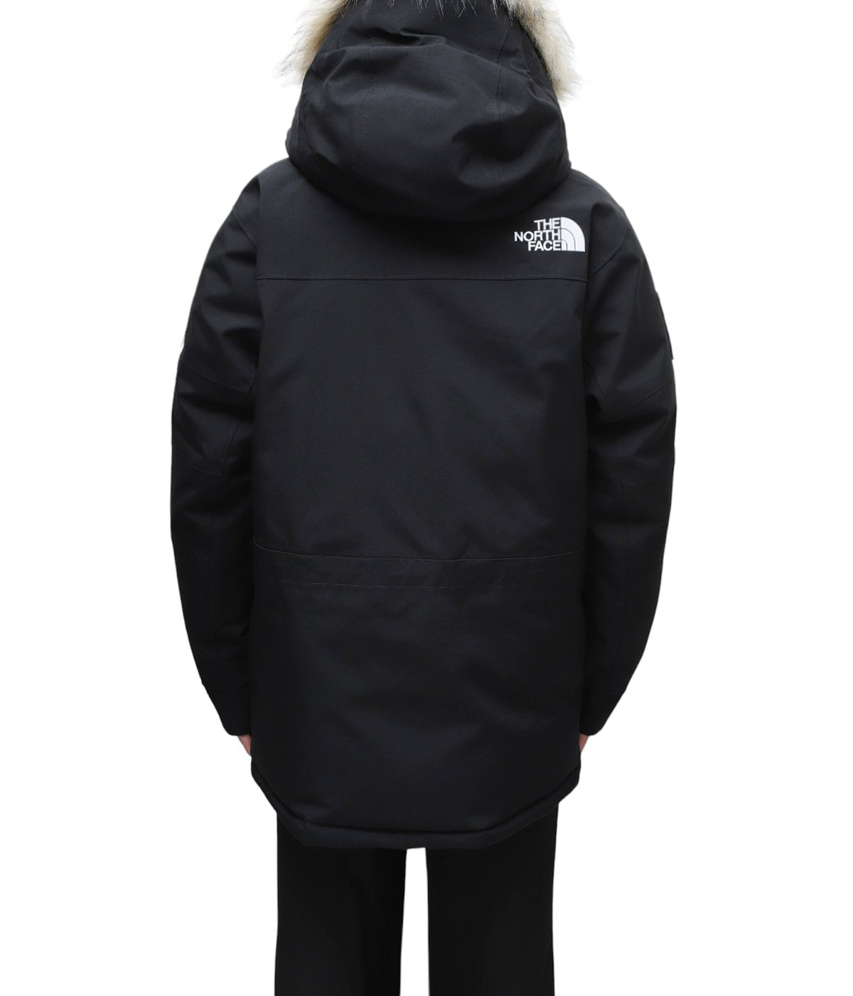 The North Face ANTRARCTICA PRAKA ヌプシ　L 黒