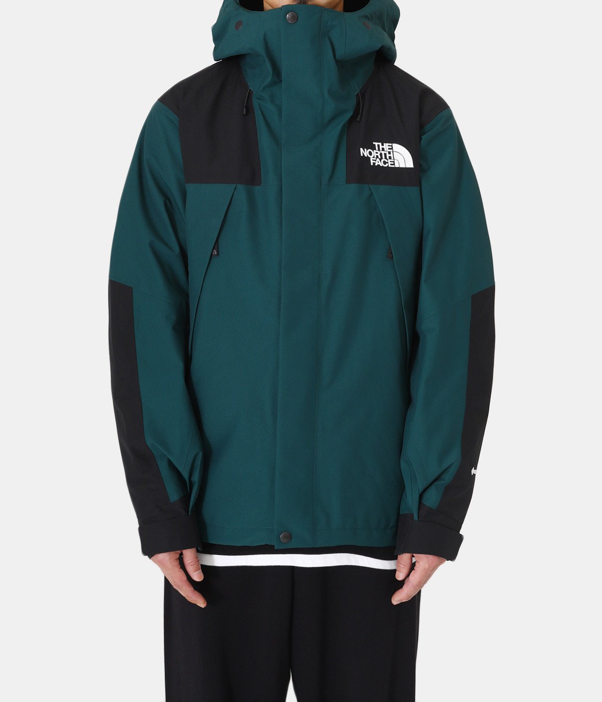 M The North Face Mountain Jacketメンズ