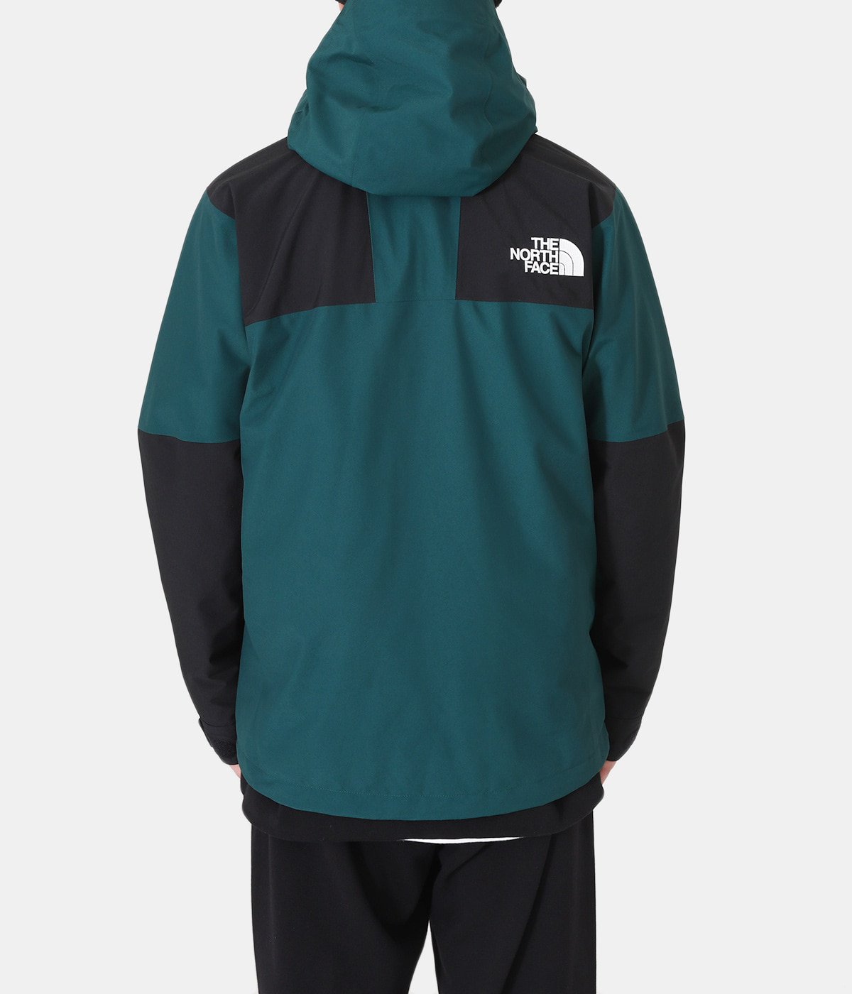 Mountain Jacket | THE NORTH FACE(ザ ノースフェイス) / アウター ...