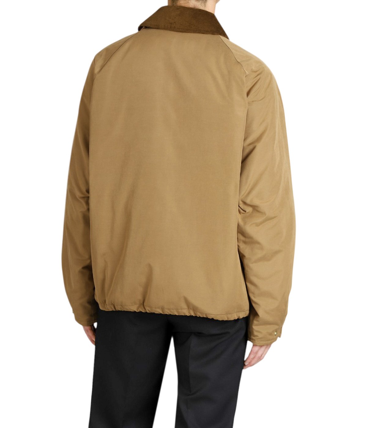 model（175cm / 60kg）B85 W75 H92 着用サイズ：40