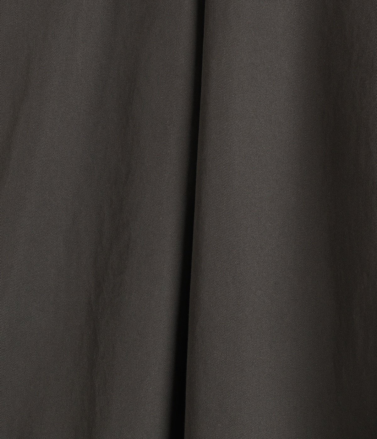 CAKESKIN CHINO PT | paratrait(パラトレイト) / パンツ