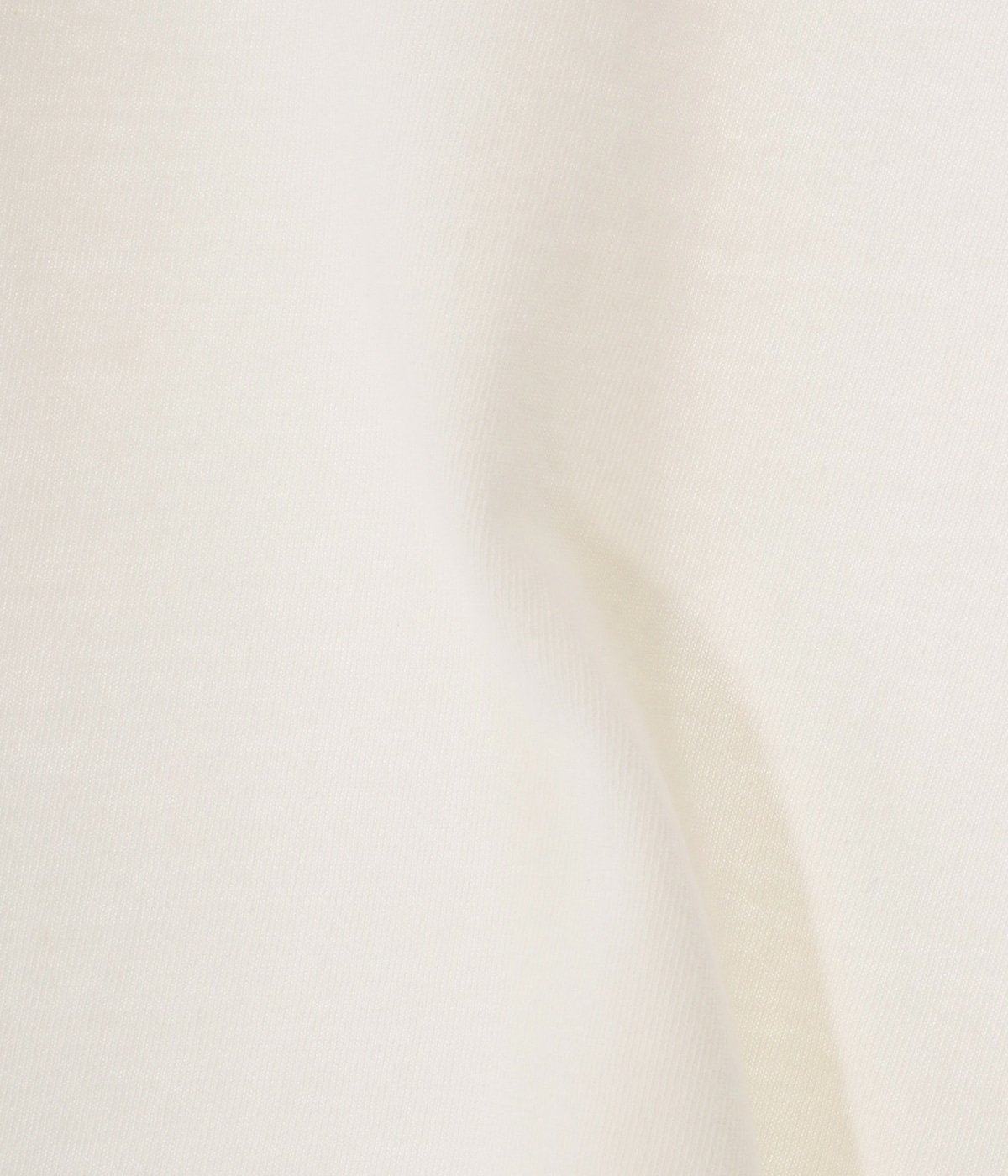 新品shishikui dog T off-white レミレリーフ