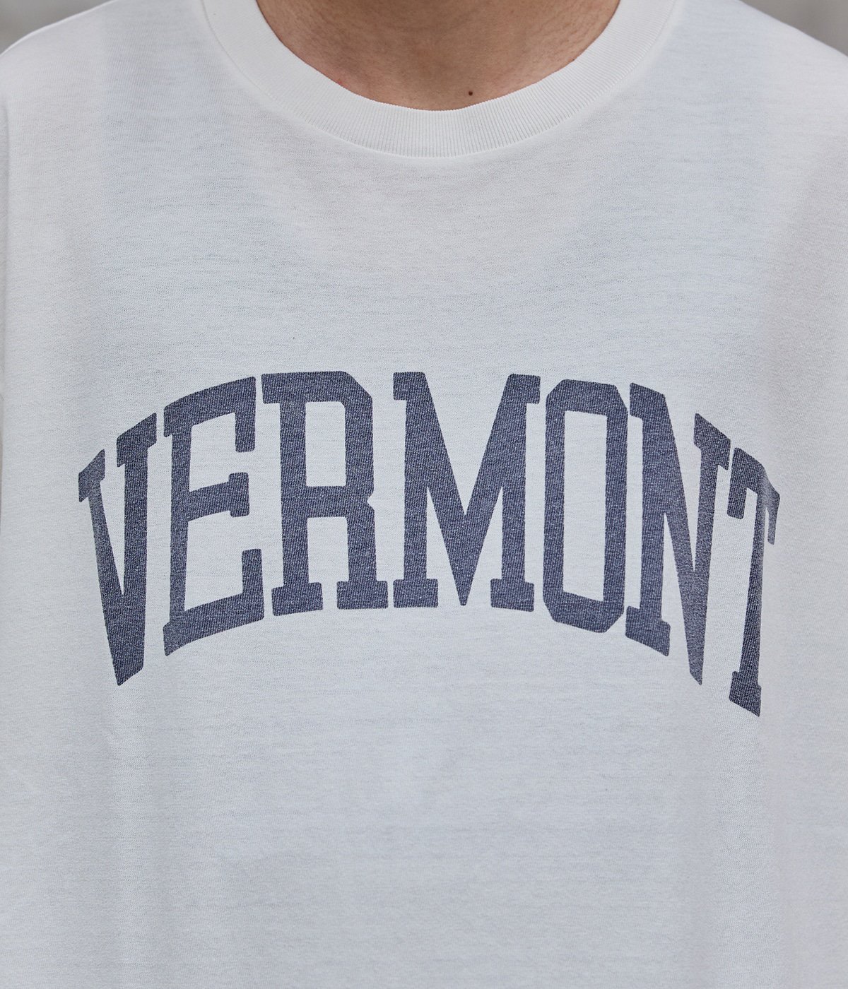 トップス REMI RELIEF VERMONT T-SH 別注 コットンキュプラT（VERMONT） | REMI RELIEF(レミレリーフ