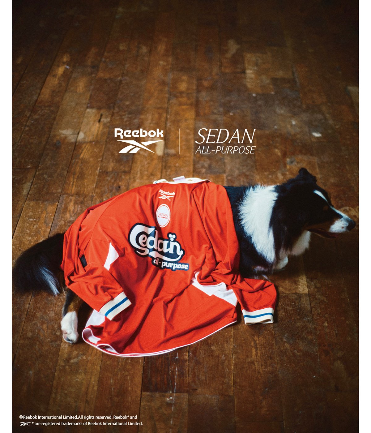Reebok / L/S Game Shirt | SEDAN ALL-PURPOSE(セダン オールパーパス 