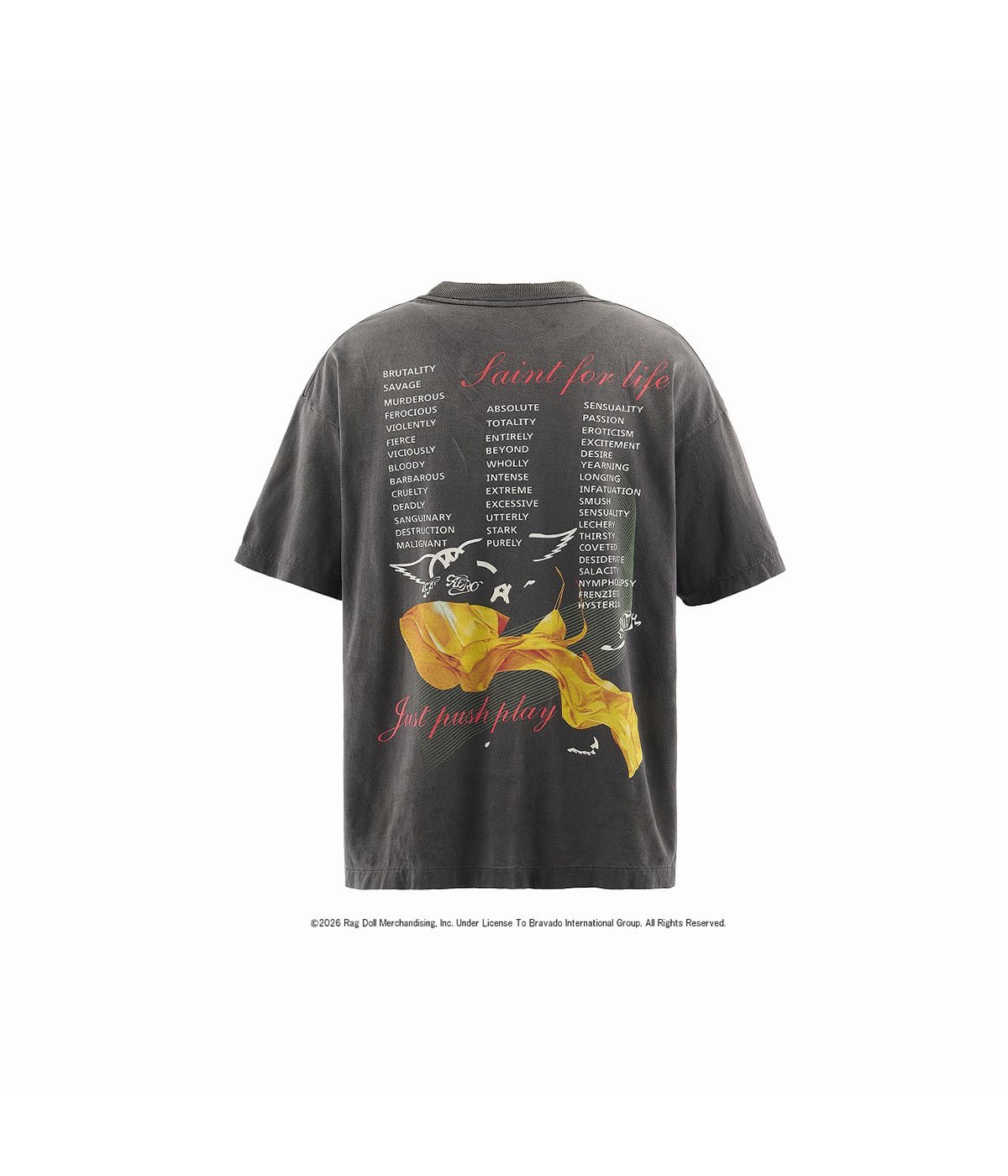 AS_SS T-SHIRT/AEROSMITH | SAINT Mxxxxxx(セント マイケル