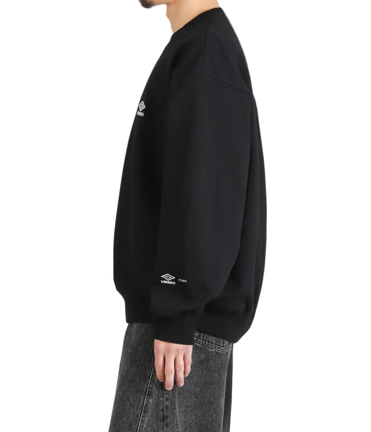 HIGH GAUGE COTTON SWEAT LS | ssstein(シュタイン) / トップス